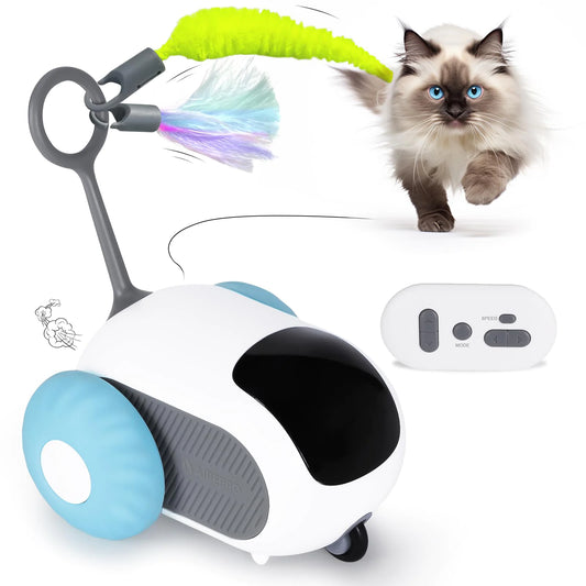 Clever Pet Chase Car