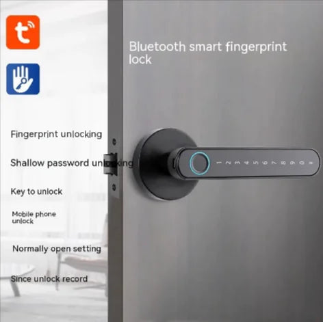 Biometric Entry Smart Lock