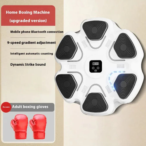 IntelliPunch Trainer