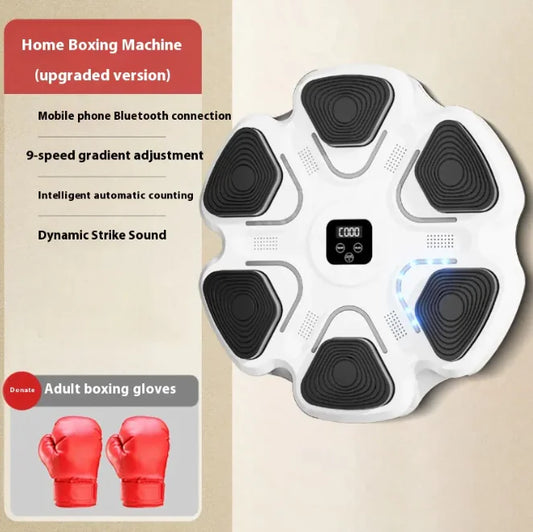 IntelliPunch Trainer