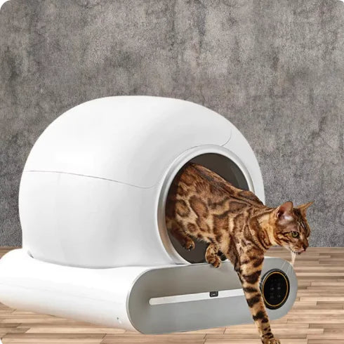 AutoClean Cat Litter Station