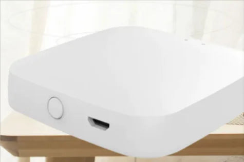 Biometric Entry Smart Lock