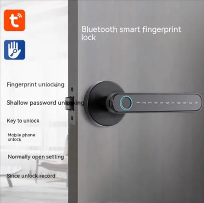 Biometric Entry Smart Lock