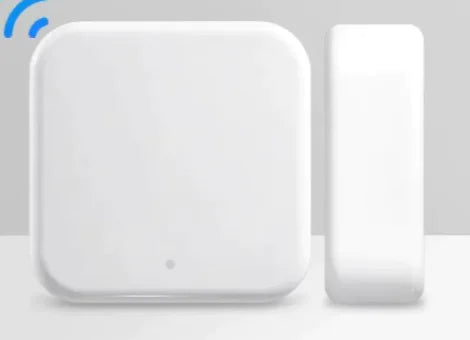 Biometric Entry Smart Lock