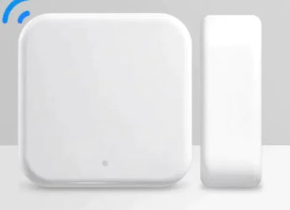 Biometric Entry Smart Lock