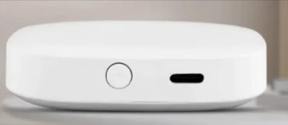 Biometric Entry Smart Lock