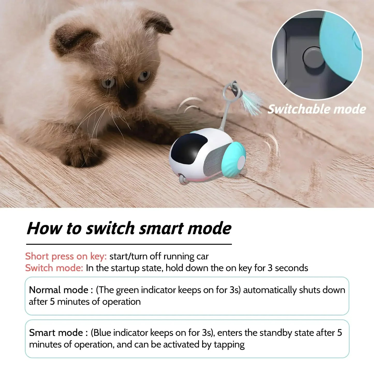 Clever Pet Chase Car