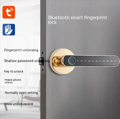 Biometric Entry Smart Lock