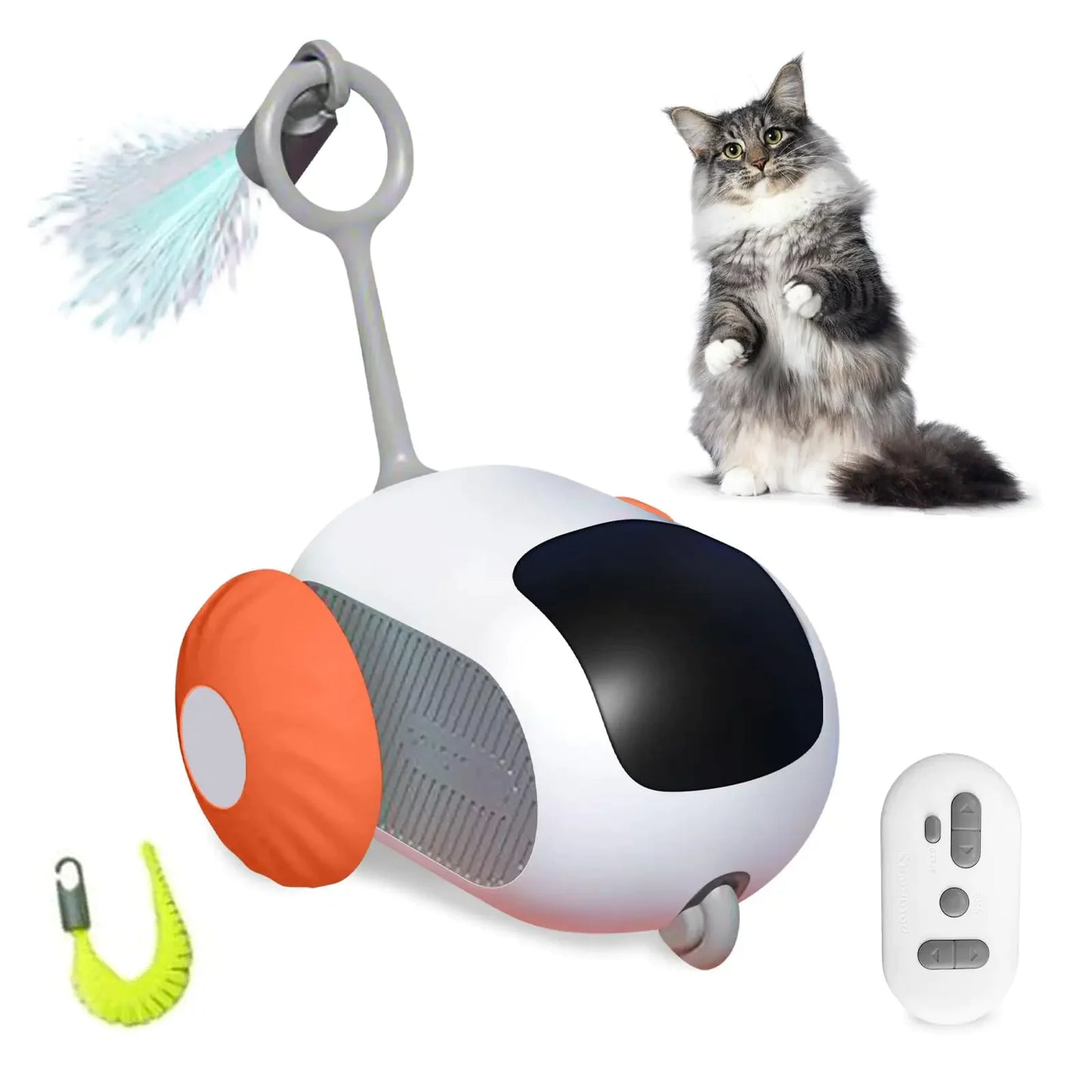 Clever Pet Chase Car