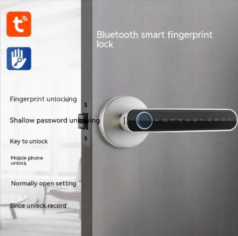 Biometric Entry Smart Lock