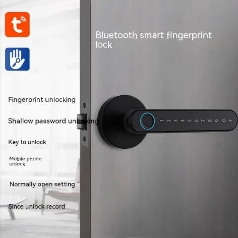 Biometric Entry Smart Lock