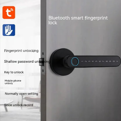 Biometric Entry Smart Lock