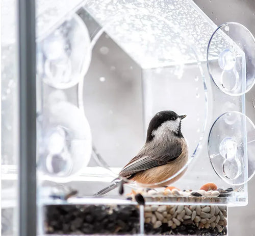ClearView Window Bird Feeder