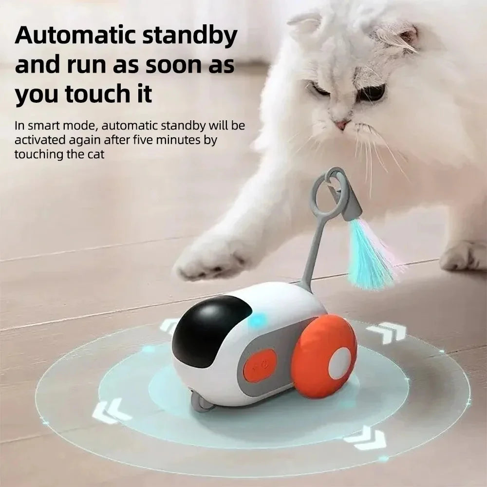Clever Pet Chase Car